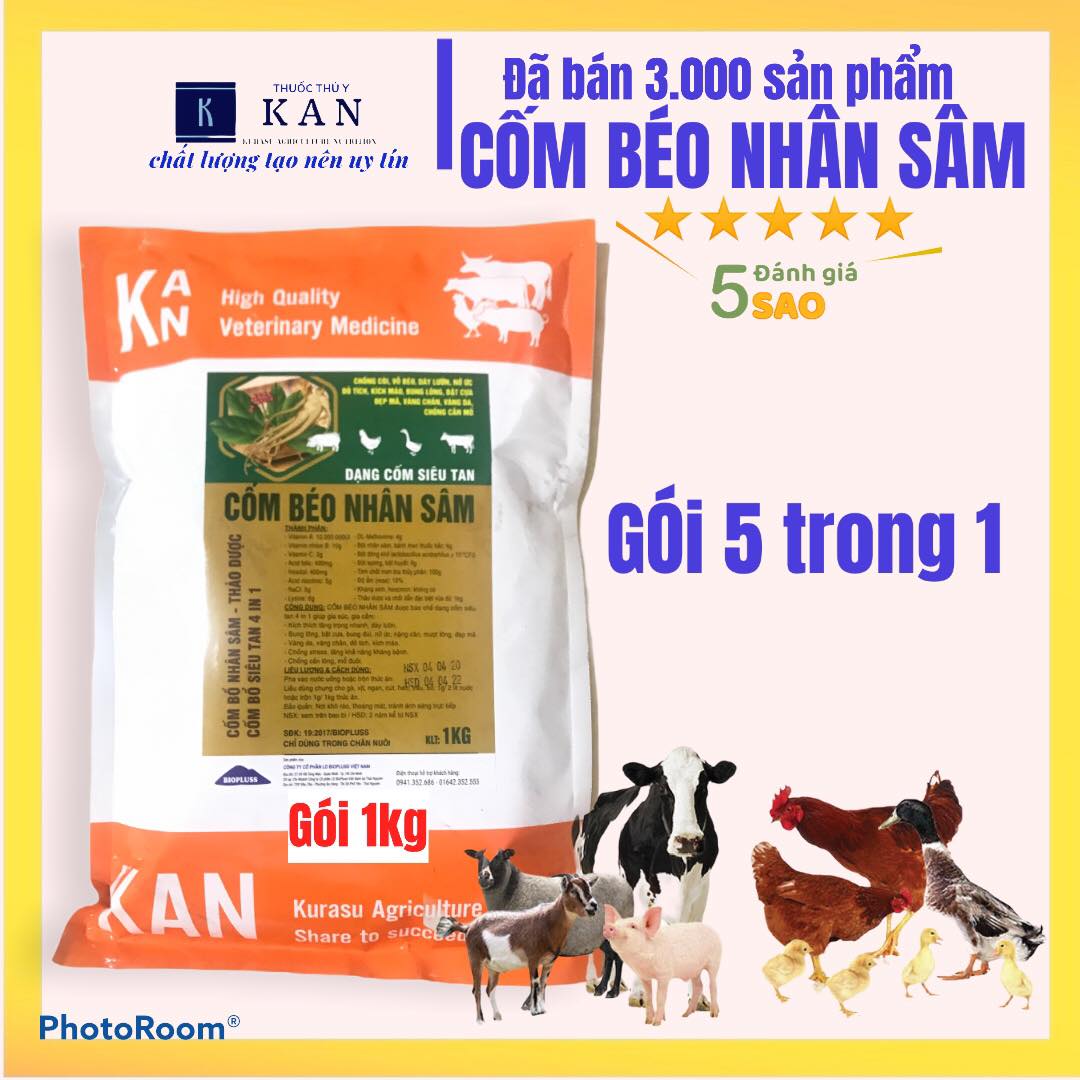 Vỗ béo dày lườn, đẹp mã, bung lông, bật cựa cho gia súc gia cầm cốm sâm 4 trong 1 gói 1kg