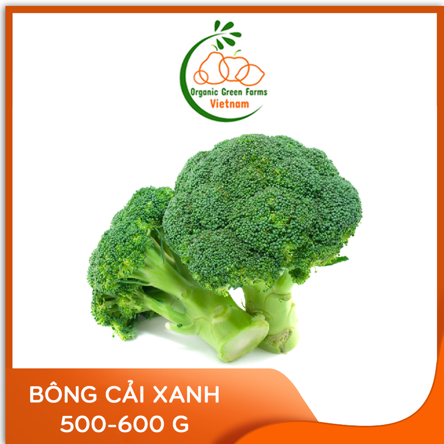 [OGF] - Bông cải xanh (500 - 600g) - [Giao nhanh TPHCM]