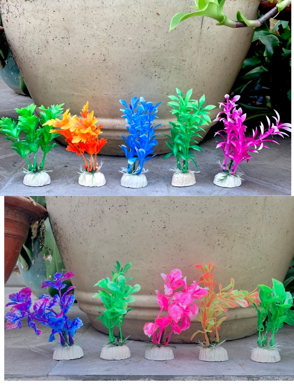 Bộ 10 cây trang trí bể cá size mini - đồ trang trí hồ cá.