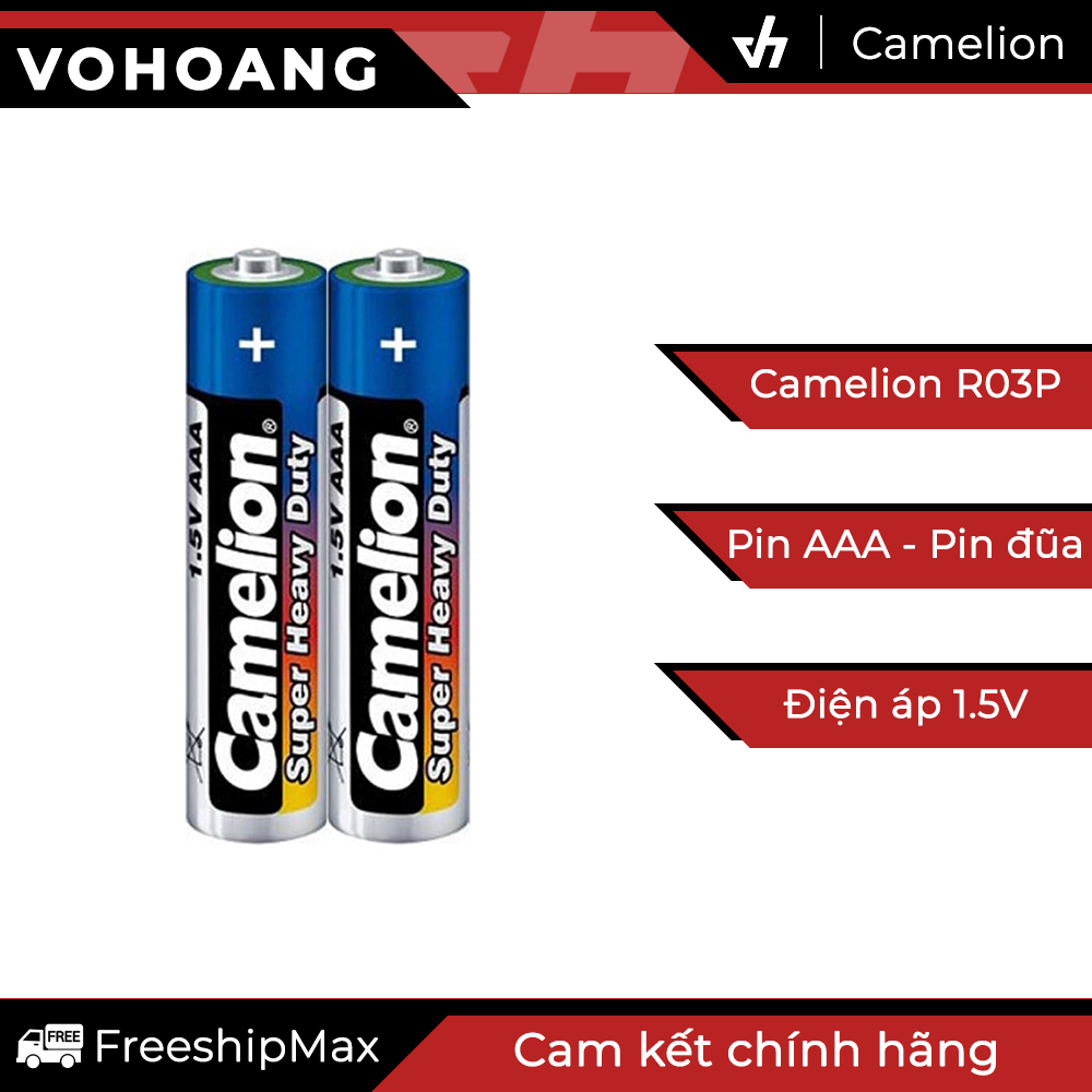2 pin aaa camelion r03p