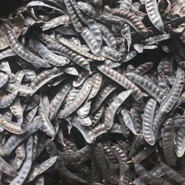 1kg Quả Bồ Kết Khô - quả To Mẩy