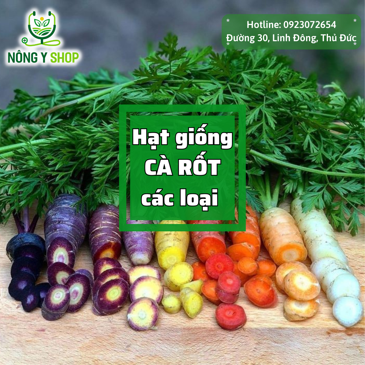 Hạt giống các loại cà rốt Rạng đông RADO, cà rốt đỏ, cà rốt tròn, red carot