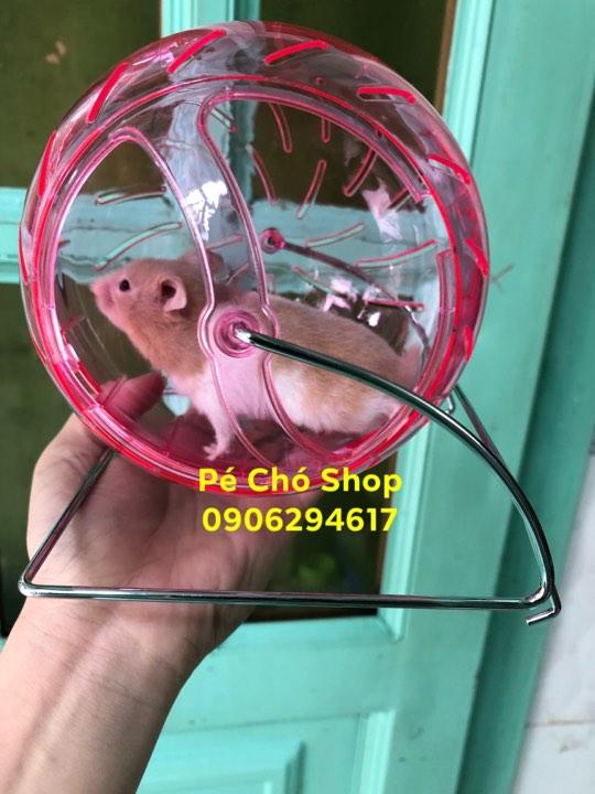 Bóng chạy 2in1 bằng Mika trong suốt cao cấp cho hamster .