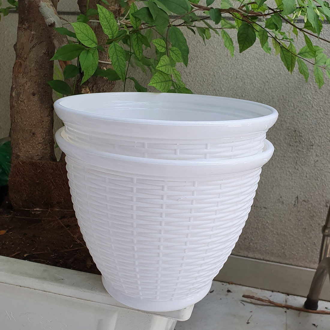 [HCM]Bộ 2 chậu mây đan vành trắng trồng hoa 26x20cm