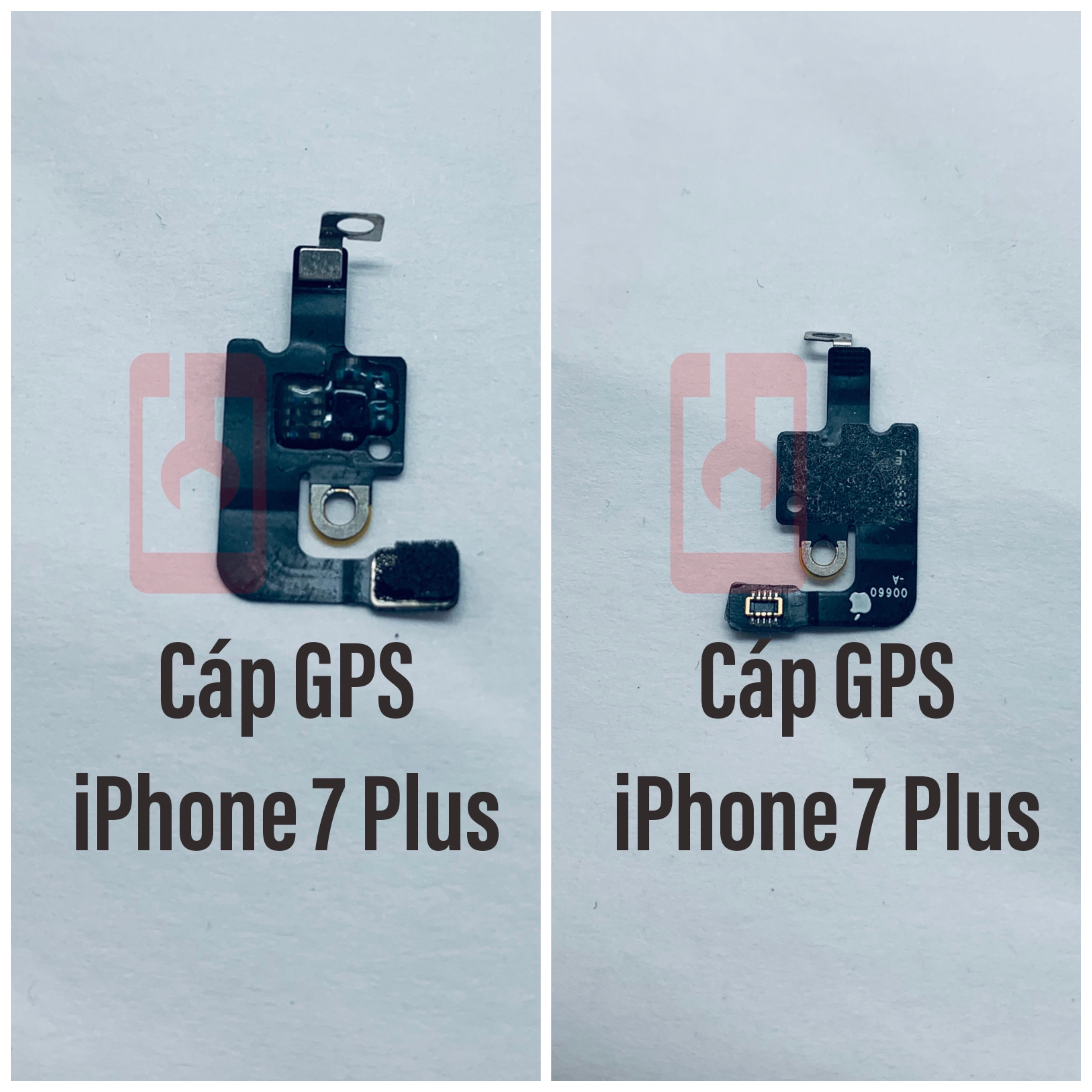 Cáp wifi bluetooth ip 7 plus