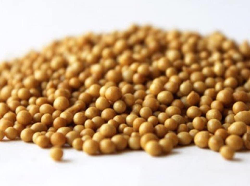 Phân tan chậm nhập khẩu của Mỹ 100 gram cho hoa mai hoa lan