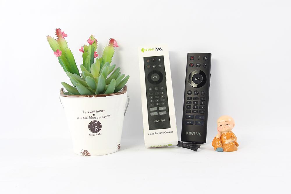 Chuột bay giọng nói kiwi v6