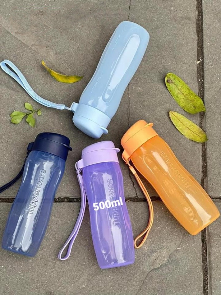Bình nước eco bottle gen ii 500ml