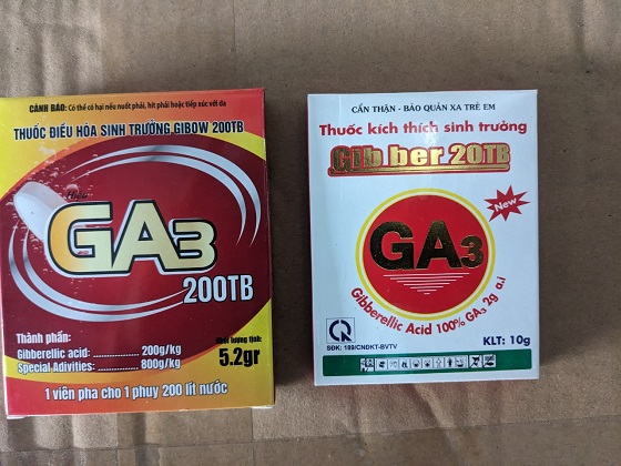 GA3 Phân bón kích thích sinh trưởng Gibber 20% 10gr
