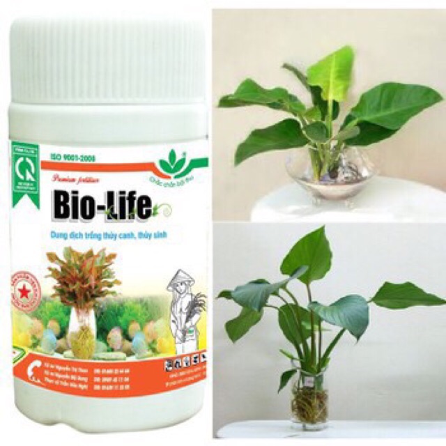 Dung dịch trồng thủy canh, thủy sinh bio-lie