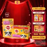 Bộ  Túi Thức Ăn Ướt Cho Chó Con PEDIGREE Dạng Sốt Vị Gà, 130g