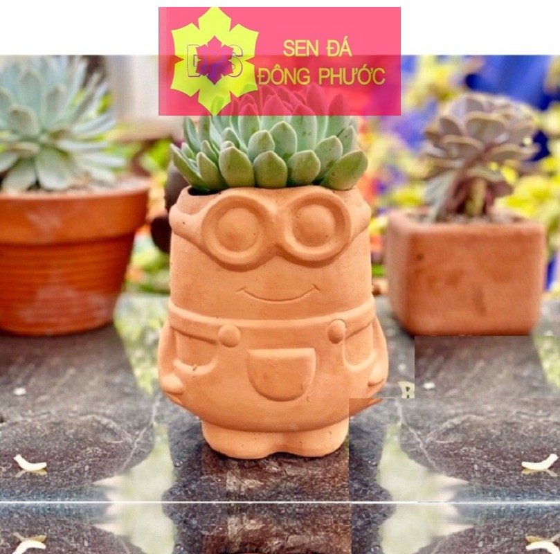 Chậu đất nung hình Minion màu nâu đất