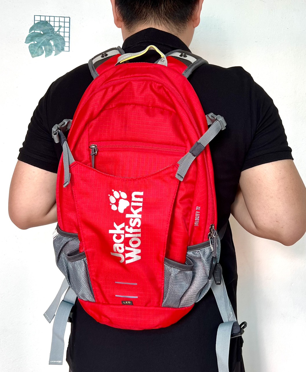 Balo trekking Jack Wolfskin, balo du lịch (hàng xuất xịn).