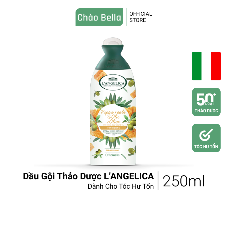 Dầu Gội Thảo Dược Cao Cấp Nhập Khẩu Ý L'angelica (Sữa Ong Chúa & Dầu Olive - Dành Cho Tóc Hư Tổn) | Tái Tạo Tóc Hư Tổn, Dưỡng Tóc, Ngăn Ngừa Gãy Rụng, Lưu Hương Lâu Trên Tóc (250ml)