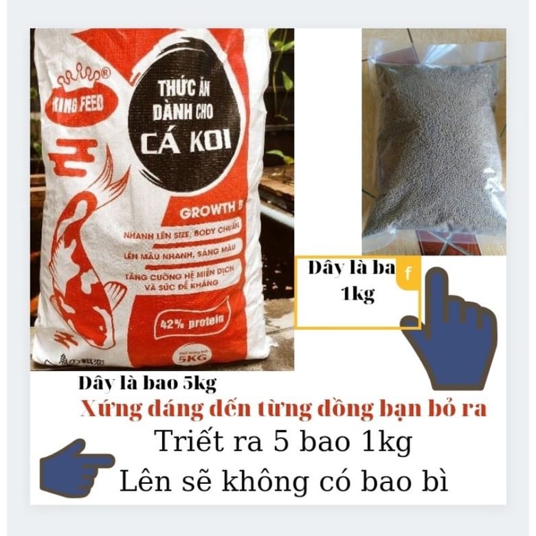 1KG Cám cá Koi tăng trưởng King Feed