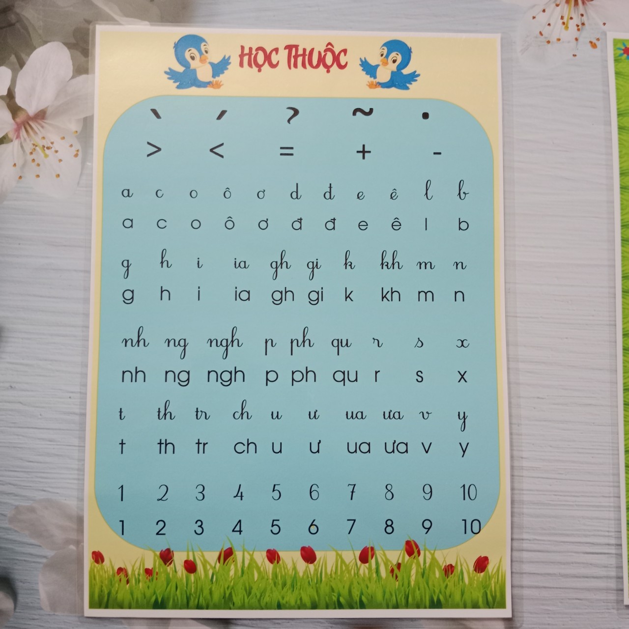 Bảng học thuộc chữ cái chữ ghép, số, dấu, kích thước A3. ép plastic. sẵn băng keo dán tường