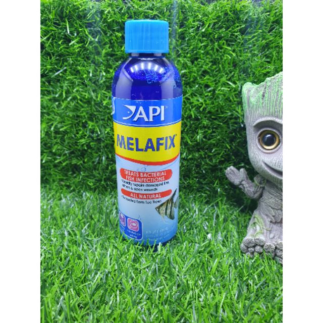 Trị nhiễm khuẩn nấm cho cá api melafix Hàng mỹ 118ml 237ml 473ml 250ml chiết lẻ cam kết hàng đúng mô tả chất lượng đảm bảo an toàn đến sức khỏe người sử dụng đa dạng mẫu mã