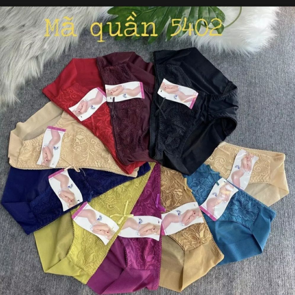 Quần lót xu phối ren siêu 5402 đẹp sỉ combo 10 quần