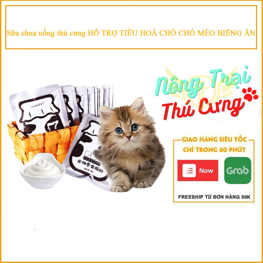 Sữa chua uống thú cưng hỗ trợ tiêu hoá chó chó mèo biếng ăn