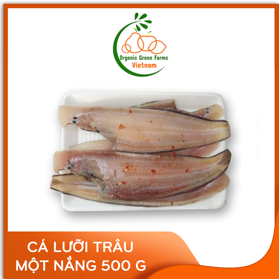 - Cá lưỡi trâu tẩm ướp 1 nắng - Thích hợp với các món nướng, chiên, rim -