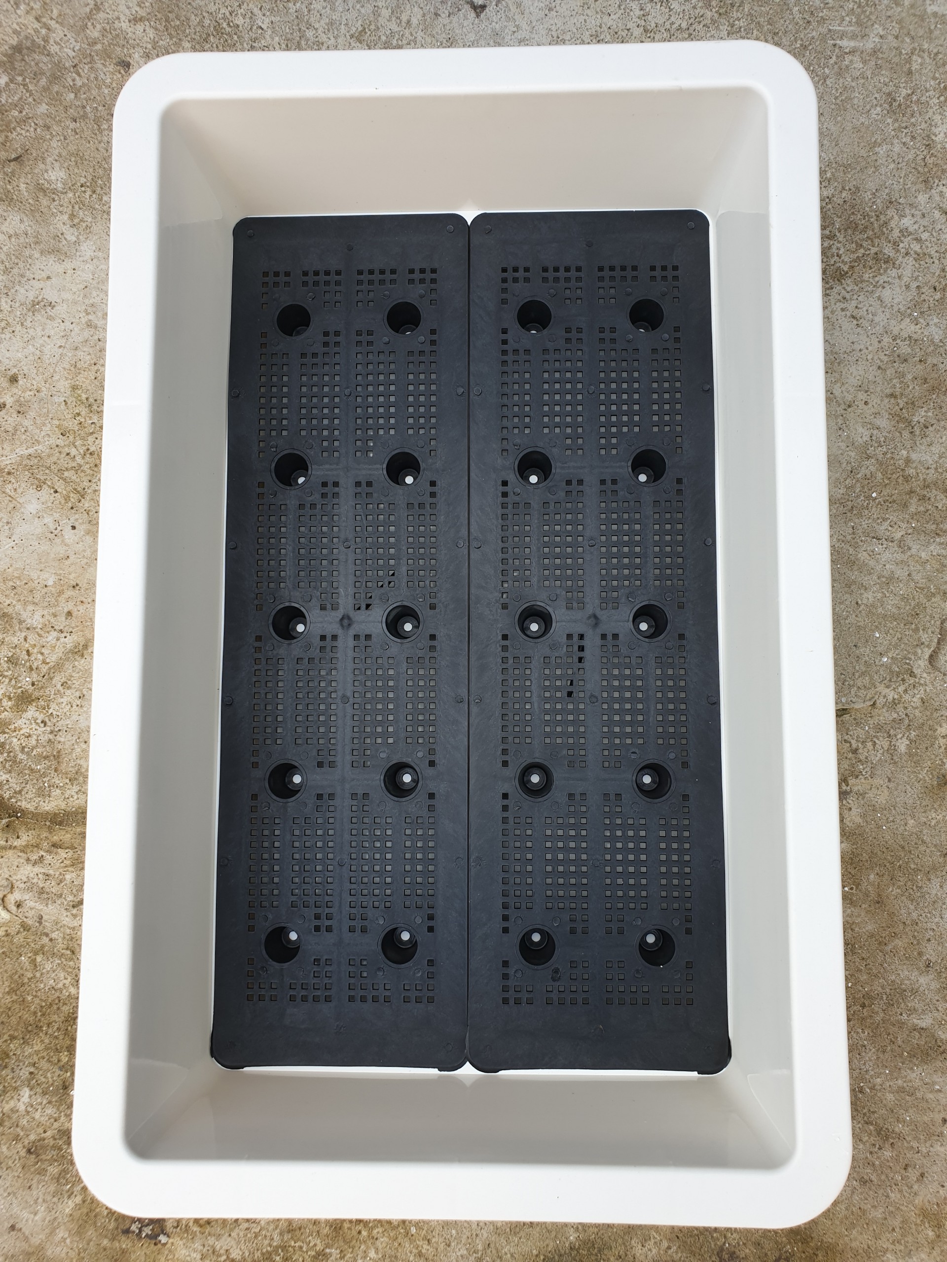 Chậu nhựa, khay nhựa trồng rau cỡ lớn thế hệ mới size 67cm x 42cm x 16cm