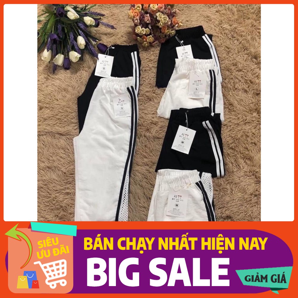 Quần baggy đũi sọc phối lưới hót hít