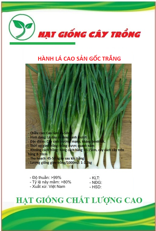 Hạt giống hành lá cao sản gốc trắng - Gói 2gram