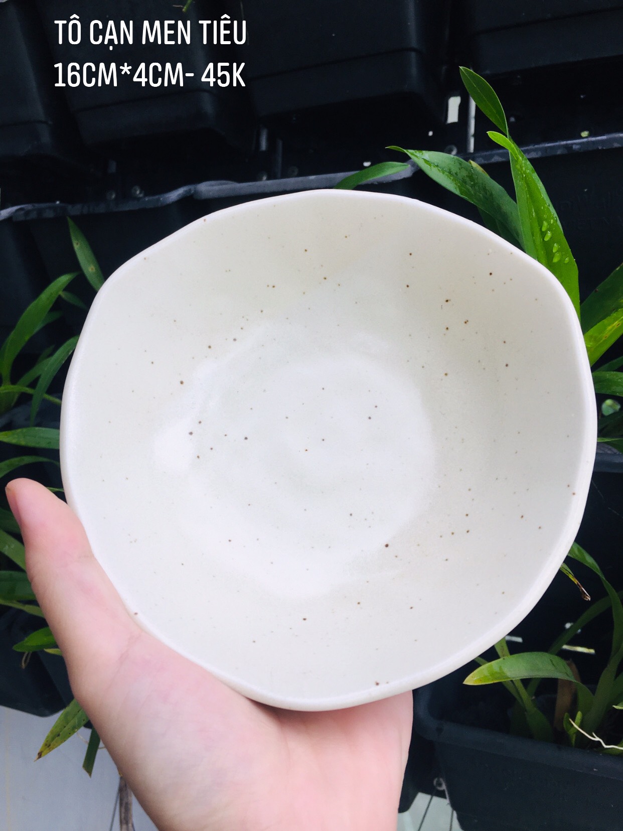 Gốm nhật - tô cạn men tiêu