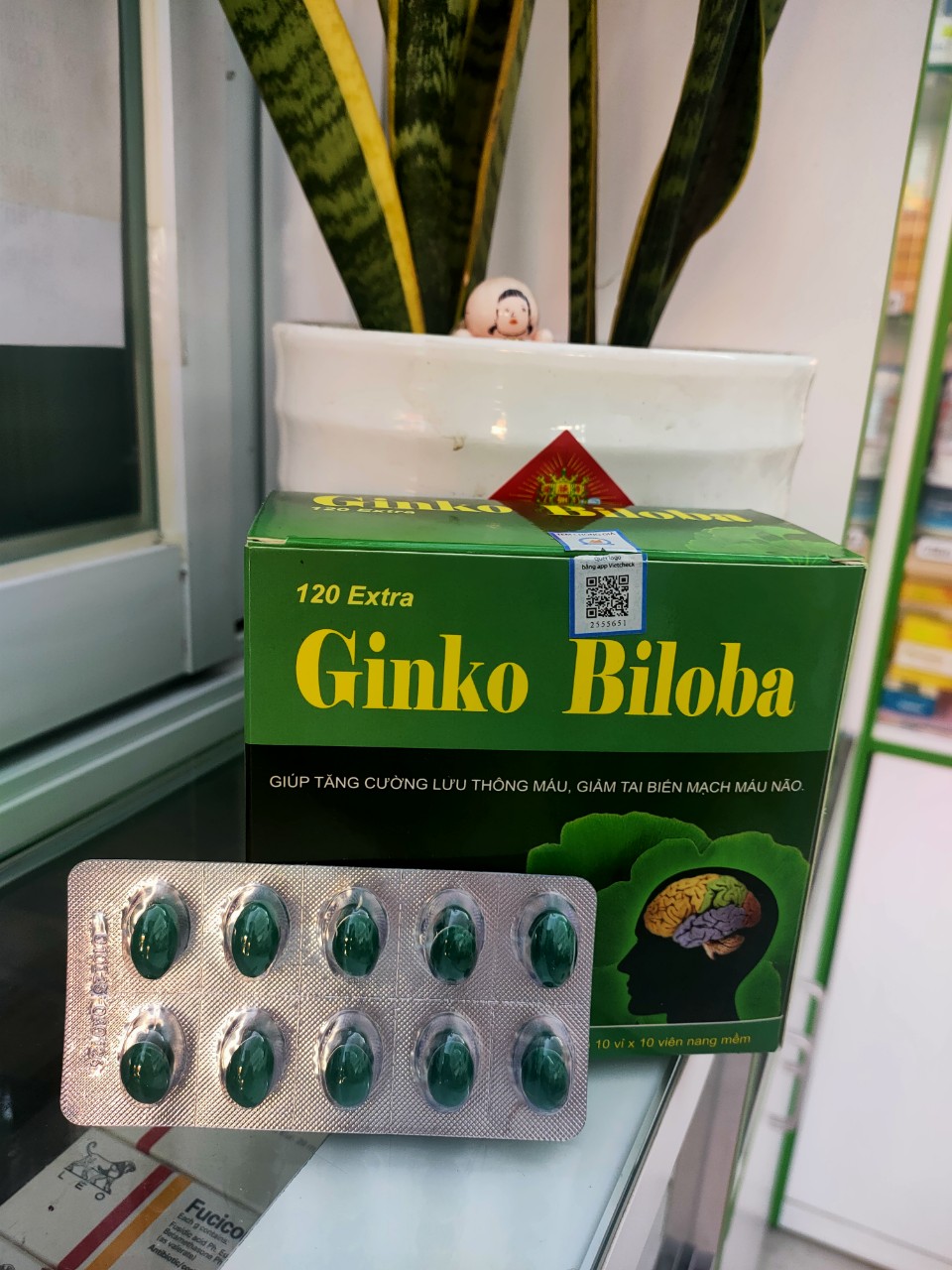 GINKO BILOBA 120 EXTRA hổ trợ tăng cường lưu thông máu