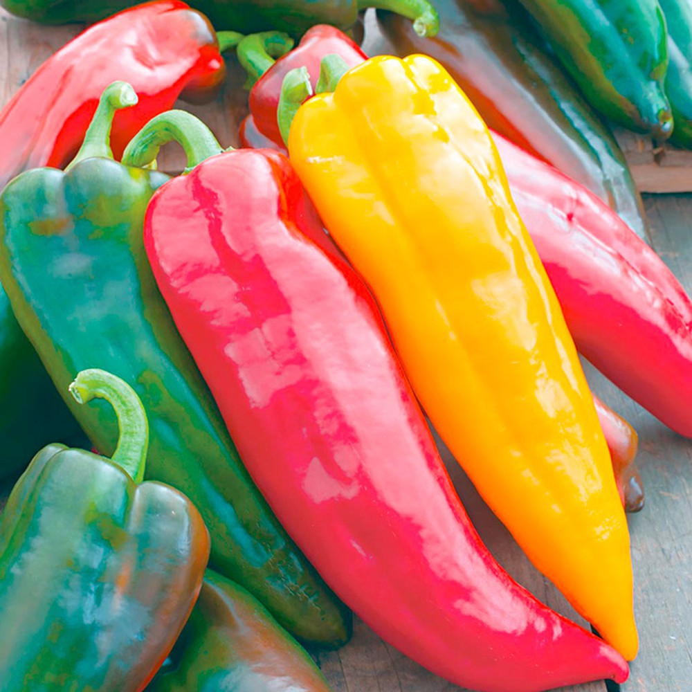 Gói 30 Hạt Giống Ớt Sừng Bò