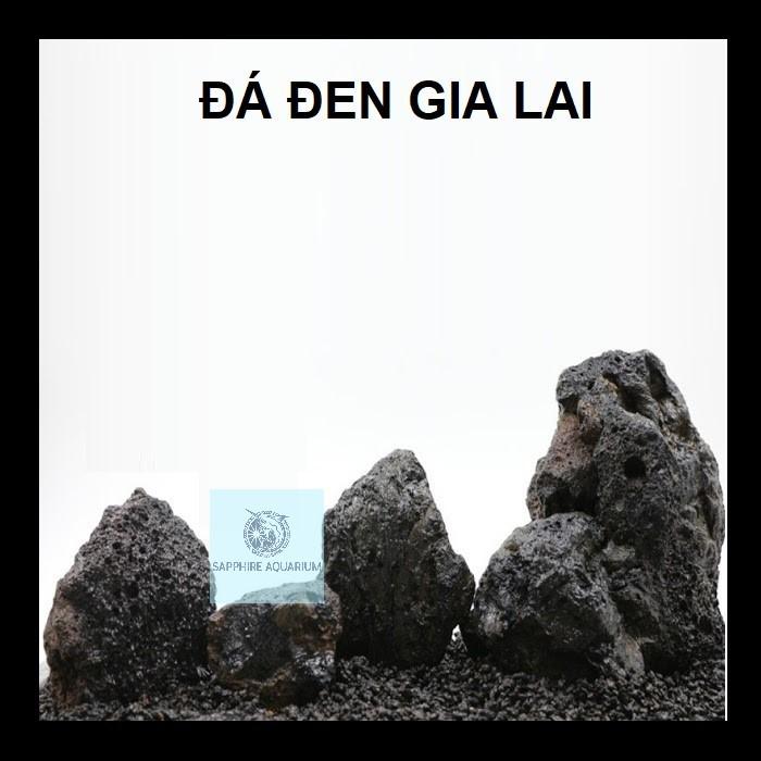 Đá đen Gia Lai cho bể cá - 1kg