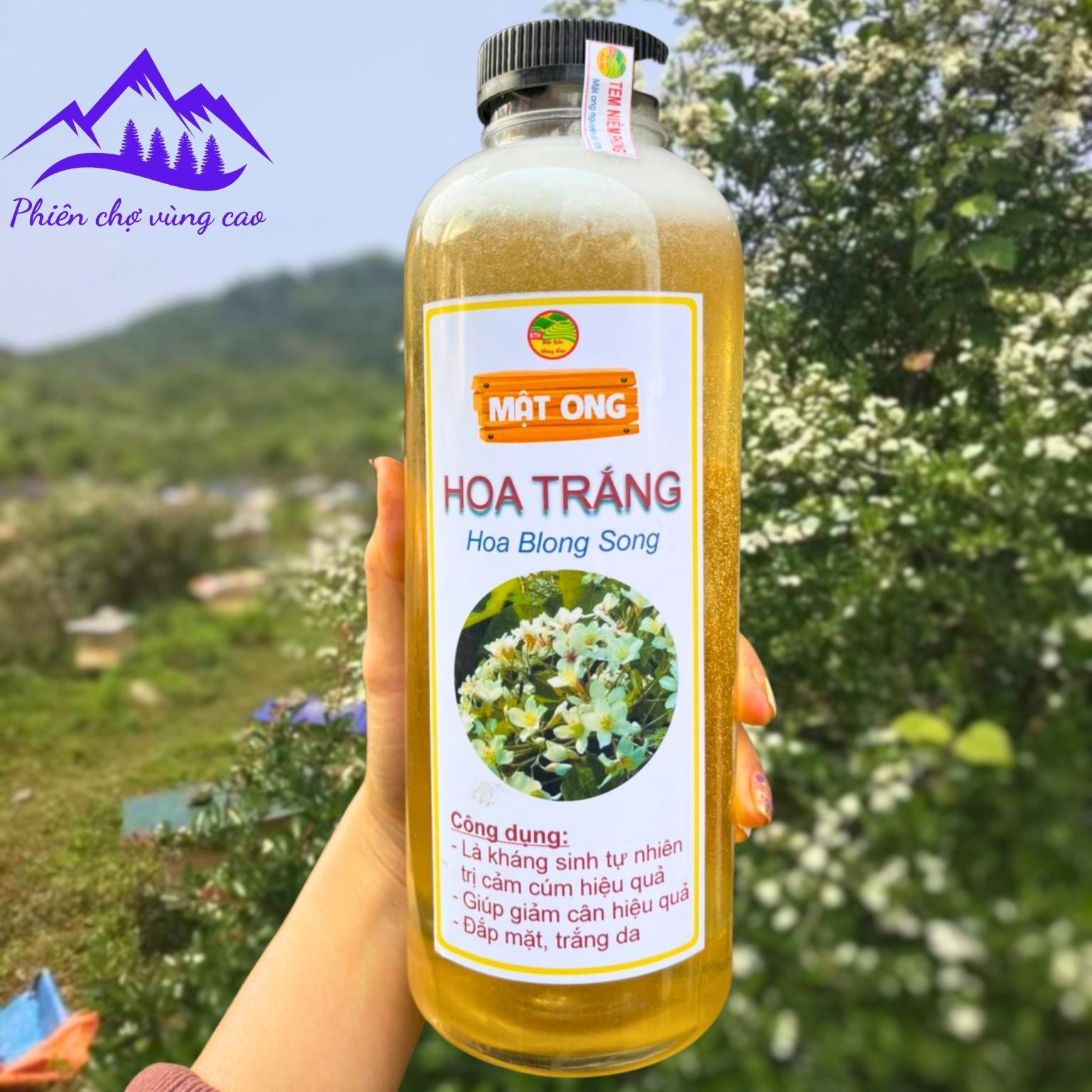 Mật ong Hoa Trắng 100% nguyên chất hoa Blong Song Mù Cang Chải - Yên Bái, không chứa chất bảo quản