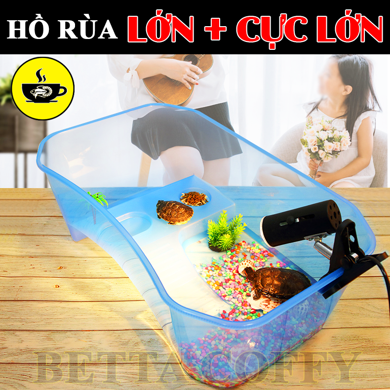 Bể Nuôi Rùa - Nuôi cá ếch thằn lằn chuột đều được - Size Lớn & Cực Lớn
