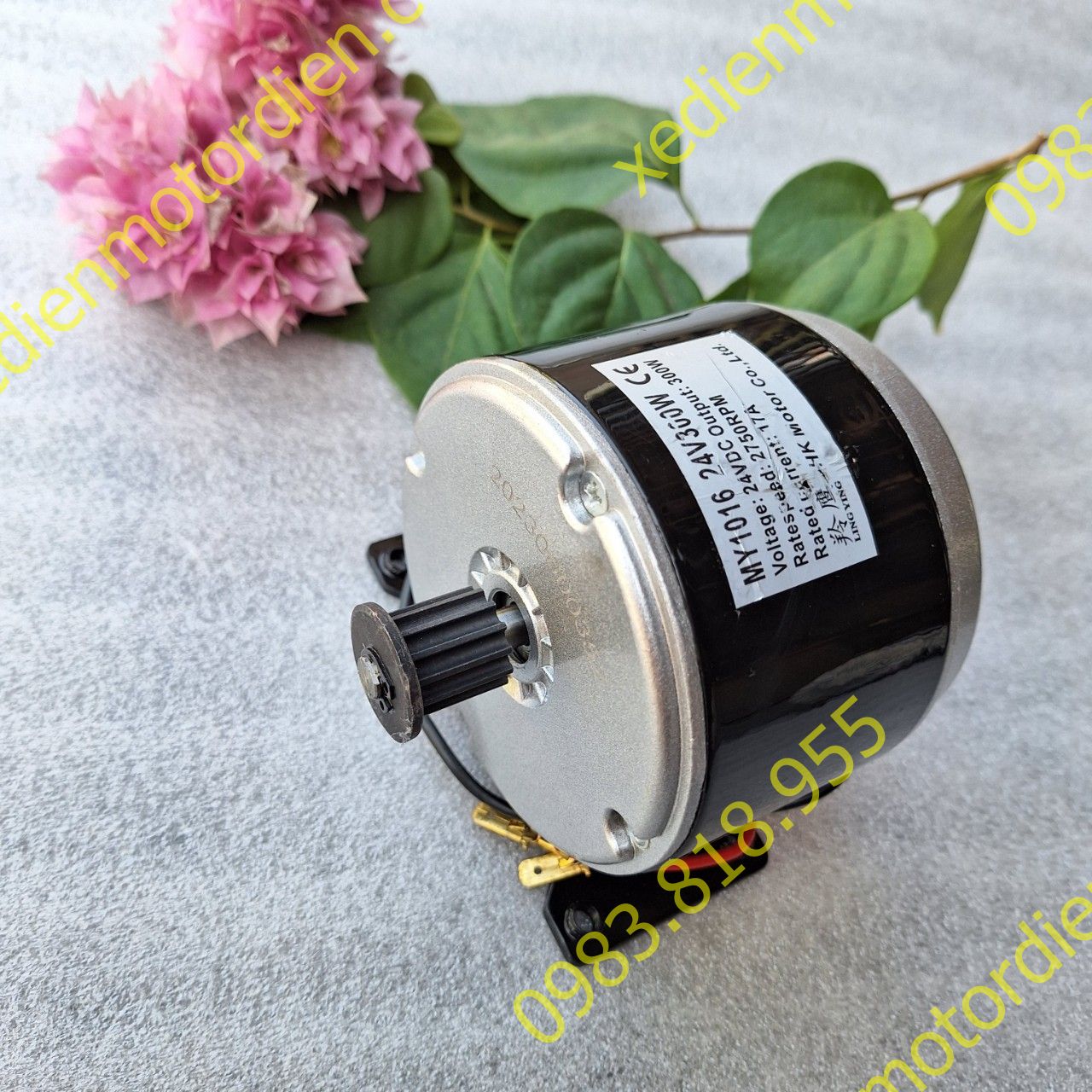 Motor động cơ 24v 300w đầu puly răng không giảm tốc xe scooter xi trẻ em
