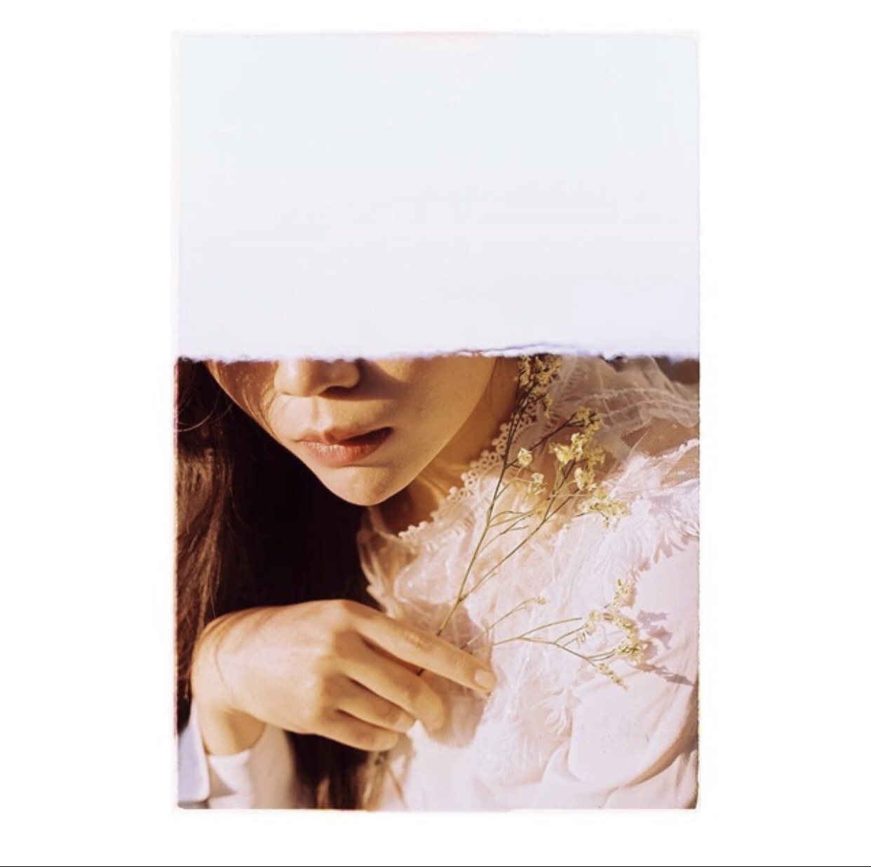 Phim máy ảnh KODAK VISION3 50D