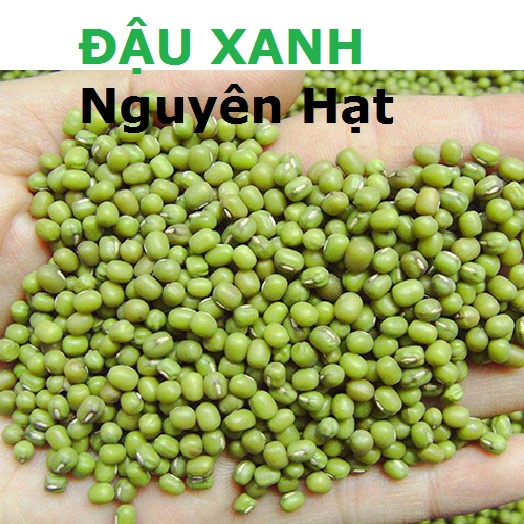 ĐẬU XANH NGUYÊN HẠT làm giá loại đậu hạt tiêu nhỏ - PHUONGAN_SHOP