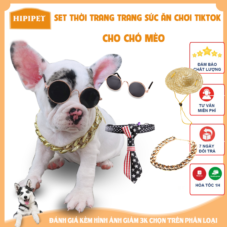 Sét thời trang cho mèo chó bộ đồ trang sức kính râm con chó vòng cổ mèo sang chảnh quý tộc_PKCM45