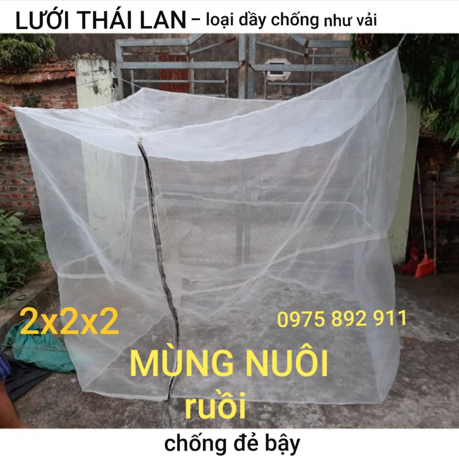 Mùng ruồi lính đen 2x2x2