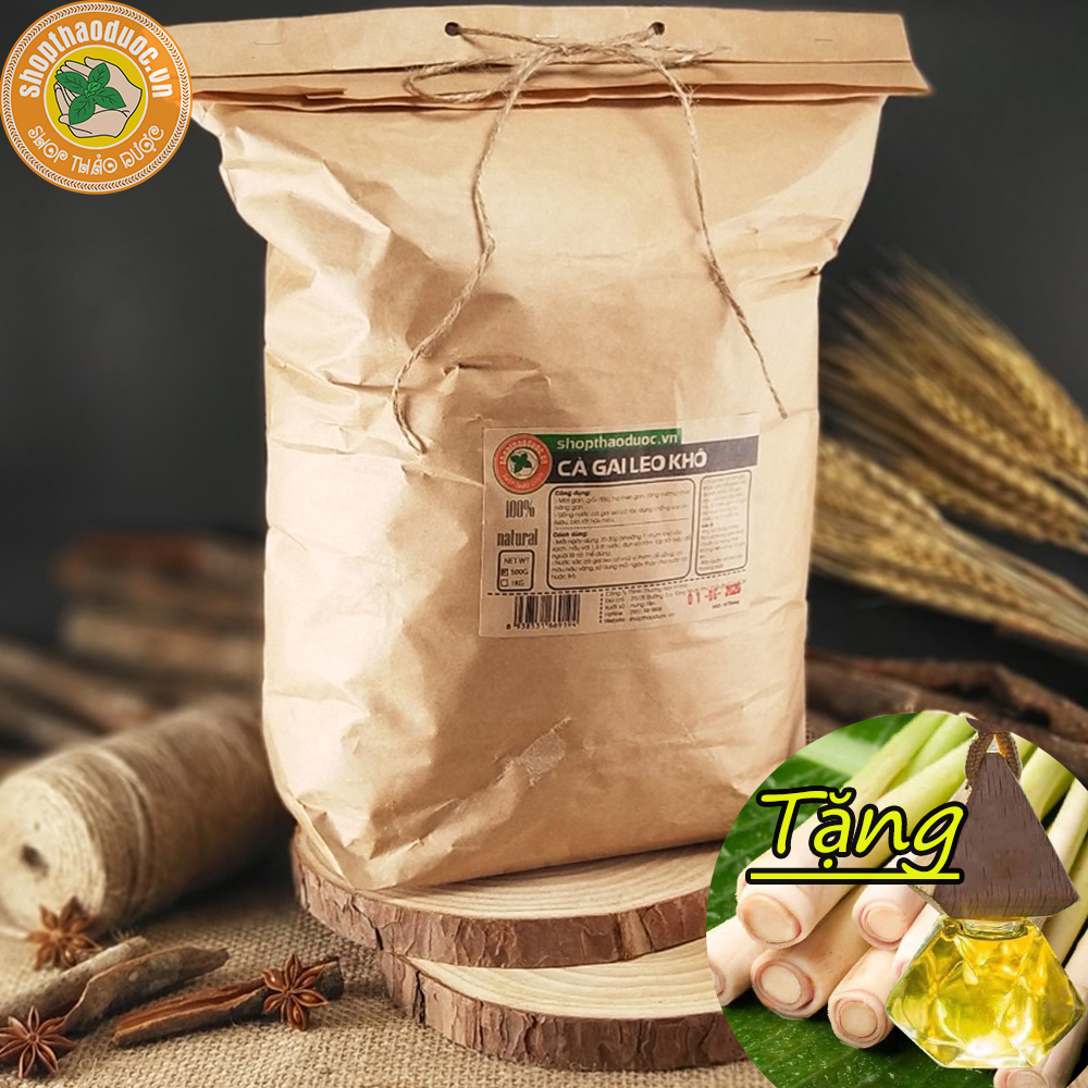 Combo Cà Gai Leo Gói 500g + Tinh Dầu Sả Chanh 8ml - Giải độc gan, mát gan
