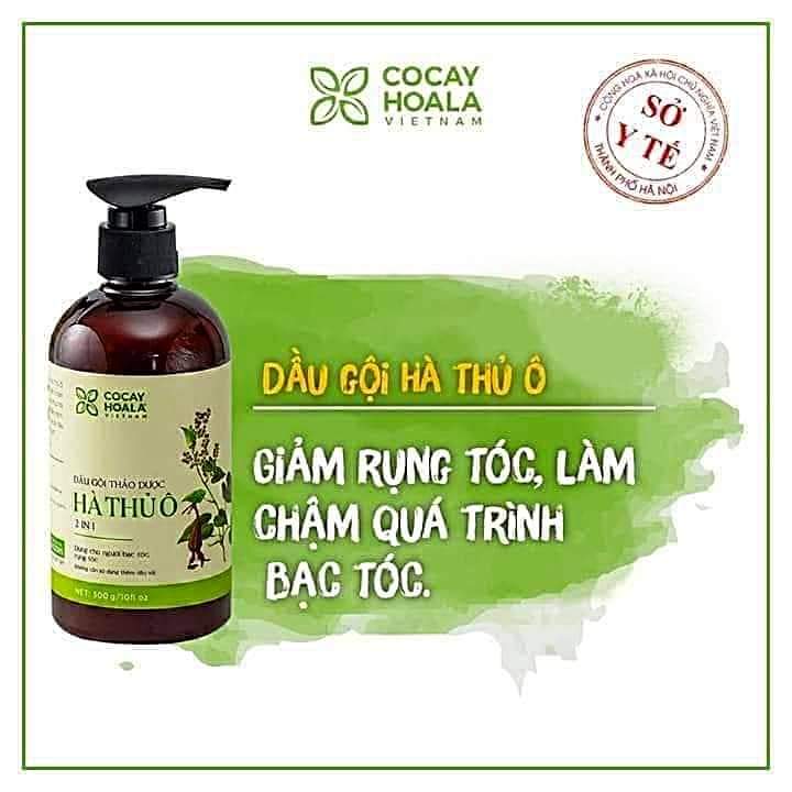 Dầu gội đầu hà thủ ô