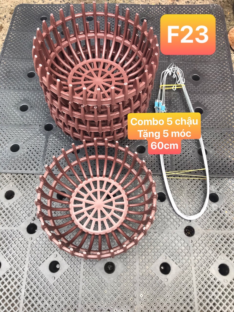 Chậu nhựa trồng lan hình bí combo 5 chậu tặng 5 móc