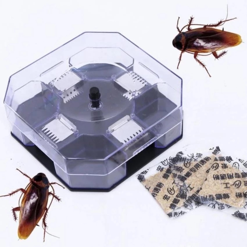 Dụng cụ bắt gián thông minh- tận diệt lũ gián trong mọi gia đình