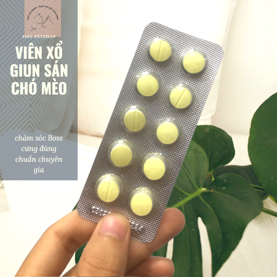 5 viên giun sán cho chó mèo Sanpet - Xổ giun, sán thú cưng