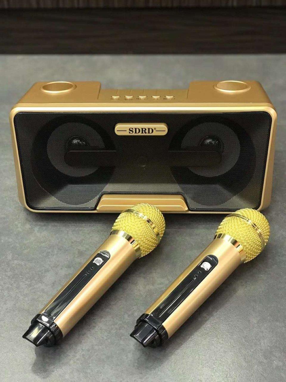 Loa karaoke sdrd sd301 kèm 2 mic không dây siêu hay