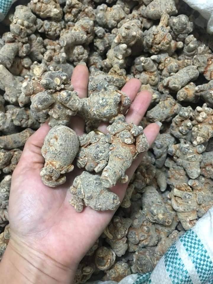 Củ tam thất bắc hàng xịn loại 1 (gói 500g), tam thất loại 50-70 củ/1kg, chất lượng đảm bảo, bồi bổ sức khỏe