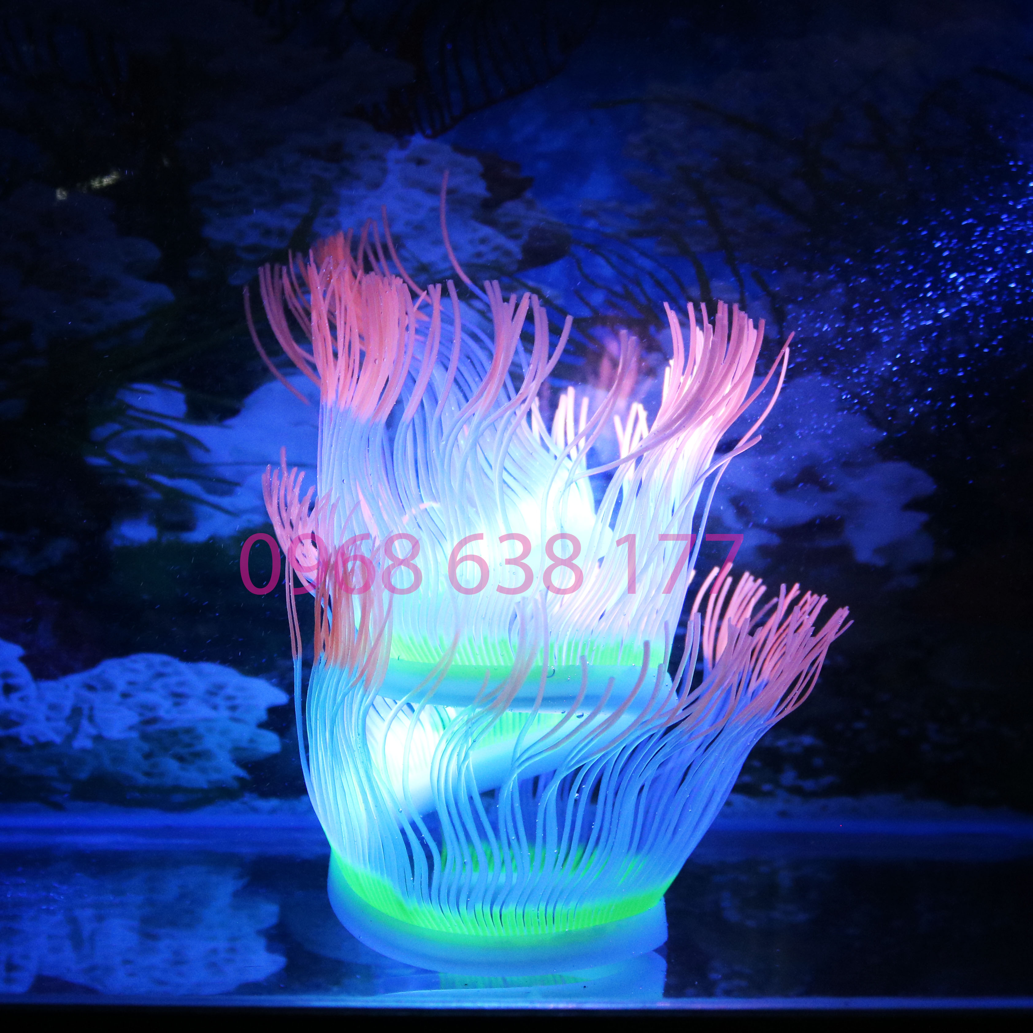 VÒI RỒNG DẠ QUANG - PHỤ KIỆN TRANG TRÍ – PHỤ KIỆN HỒ CÁ – THỦY SINH