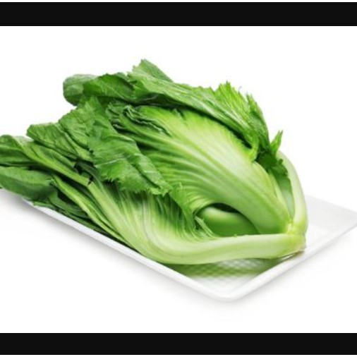 Giống rau cải bẹ dưa
