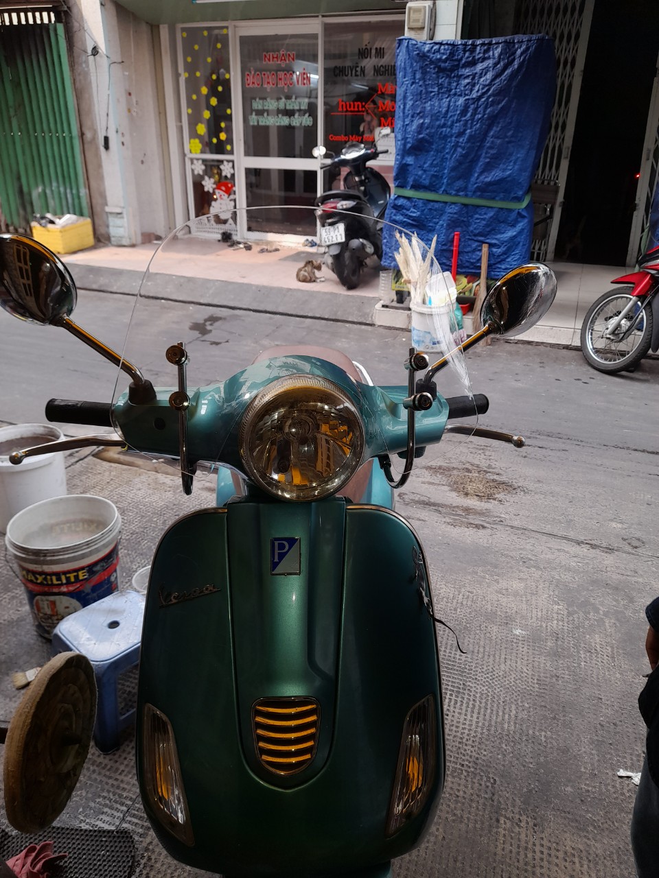 Kính chắn gió LX, GTS