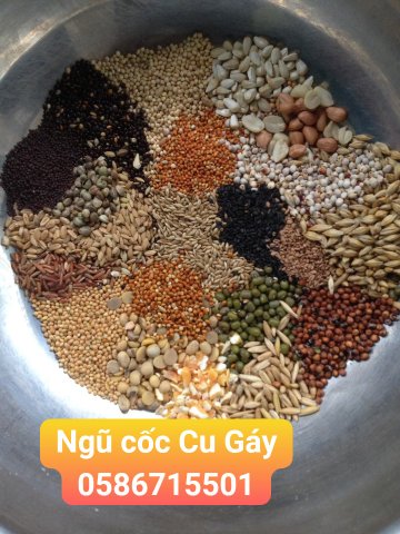 ngũ cốc 10 loại hạt tổng hợp cho chim yến phụng sinh sản 1kg