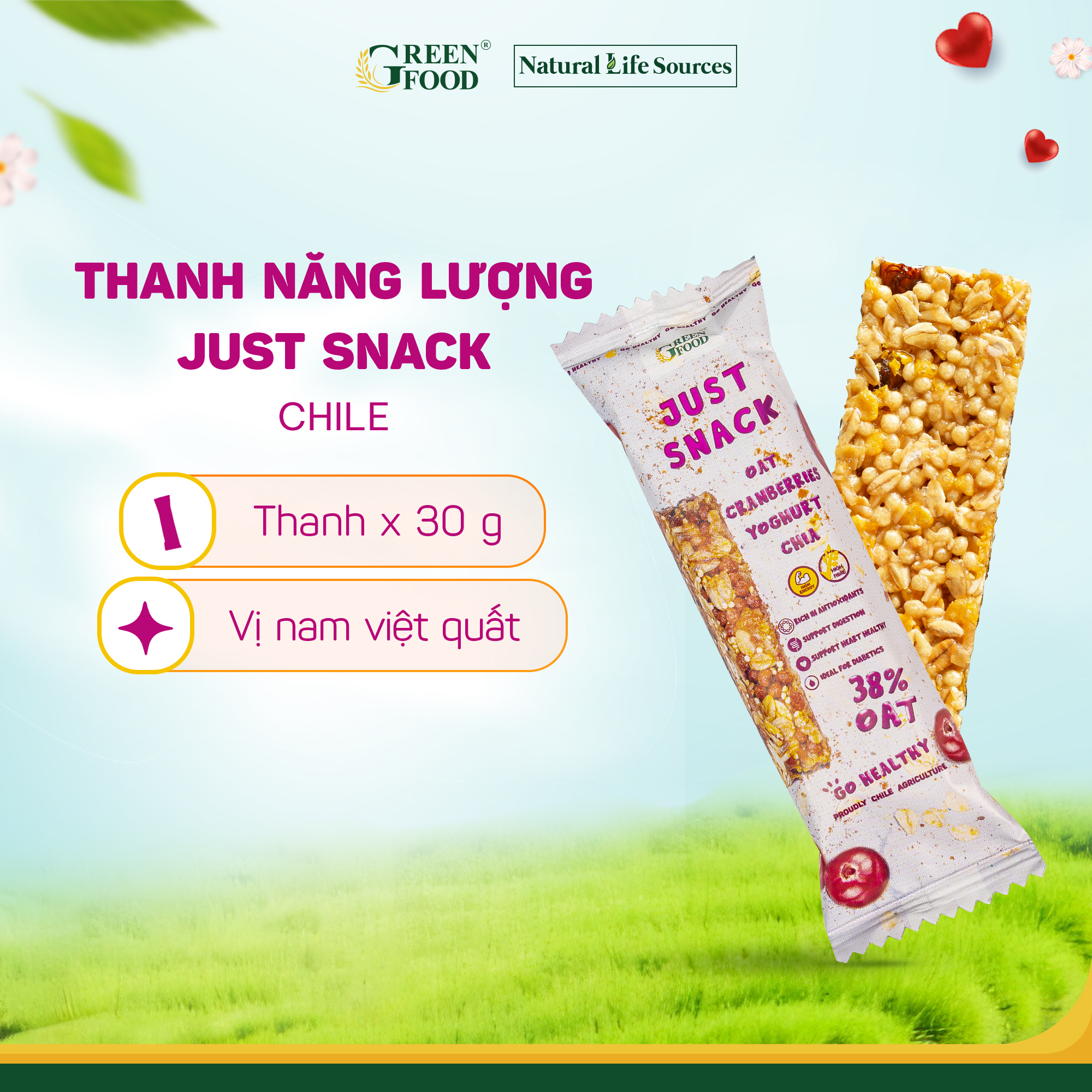 Thanh Năng Lượng Ngũ Cốc Yến Mạch Just Snack Vị Nam Việt Quất 30g, nhập khẩu trực tiếp từ Chile, bữa sáng tiện lợi, đầy đủ dinh dưỡng.